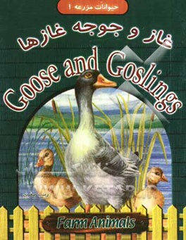 غاز و جوجه غازها = Goose and goslings