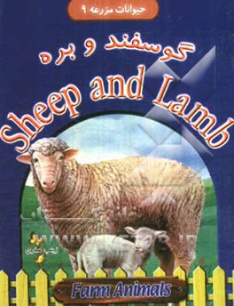 گوسفند و بره = Sheep and lamb