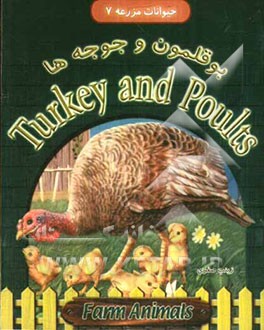 بوقلمون و جوجه‌ها = Turkey and poults