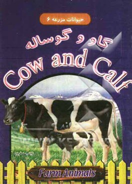 گاو و گوساله = Cow and calf
