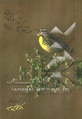 ... در این کوچه آواز کم می‌خرند