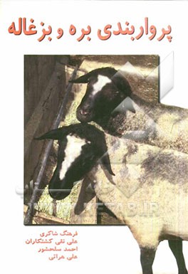 پرواربندی بره و بزغاله