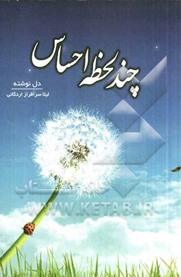 چند لحظه احساس