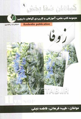 گیاهان شفابخش: زوفا