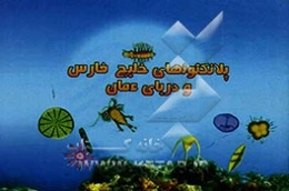 پلنگتون‌های خلیج فارس و دریای عمان