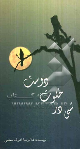 شبی در خلوت دوست