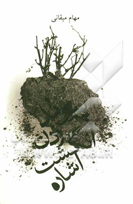 پیوند زدن انگشت اشاره