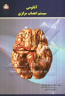 آناتومی سیستم اعصاب مرکزی