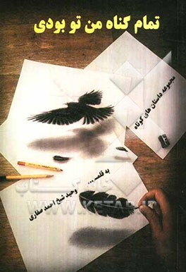 تمام گناه من تو بودی: مجموعه داستان‌های کوتاه