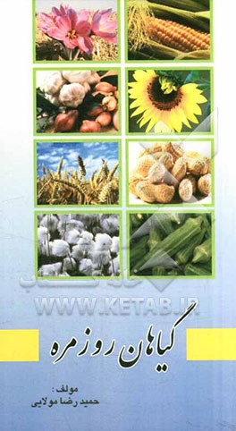 گیاهان روزمره