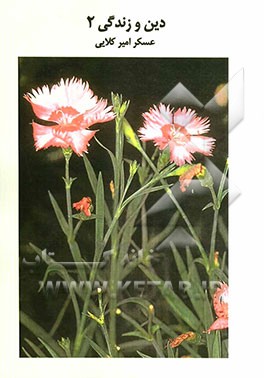 دین و زندگی 2: بررسی و طبقه‌بندی سوالات چهارگزینه‌ای دین وزندگی سال دوم دبیرستان با پاسخ‌نامه کاملا تشریحی