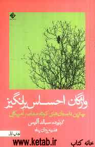 واژگان احساس‌برانگیز: بهترین داستانهای کوتاه معاصر آمریکایی
