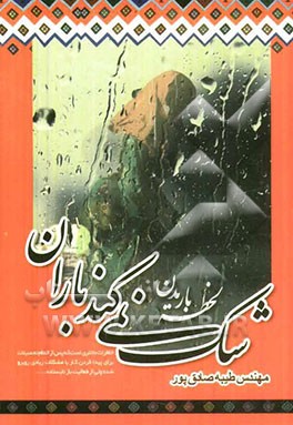 شک نمی‌کند باران لحظه‌ی باریدن