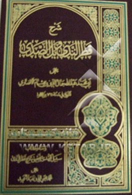 شرح قطر الندی و بل ‌الصدی