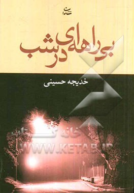 بی‌راهه‌ای در شب