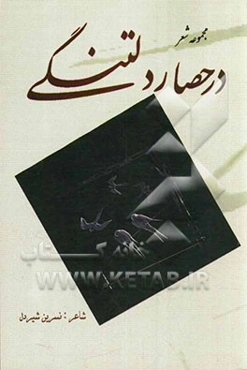 در حصار دلتنگی: مجموعه شعر