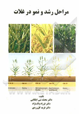 مراحل رشد و نمو در غلات