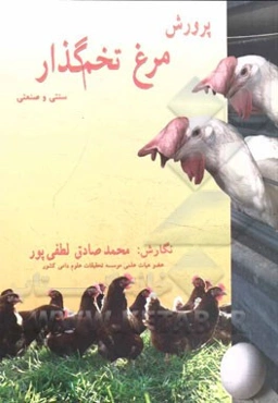 پرورش مرغ تخم‌گذار: سنتی و صنعتی