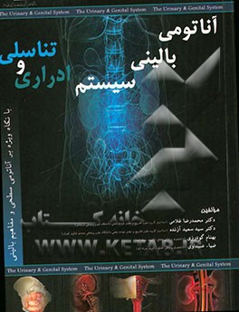 آناتومی بالینی سیستم ادراری و تناسلی