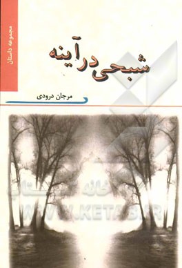 شبحی در آینه: مجموعه داستان