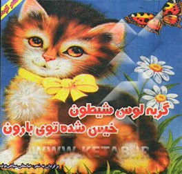 گربه لوس و شیطون خیس شده توی بارون