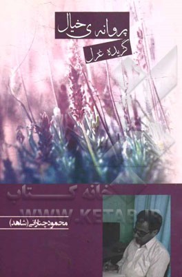 پروانه‌ی خیال