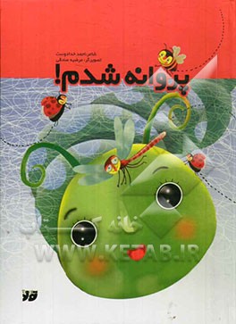 پروانه شدم!