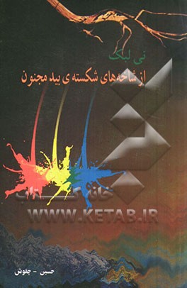 نی‌لبک از شاخه‌های شکسته بید مجنون