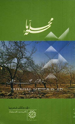 محله‌ی ما: شهر زیبا: نگاهی به مردم، اقلیم و فرهنگ