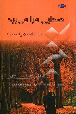 صدایی مرا می‌برد