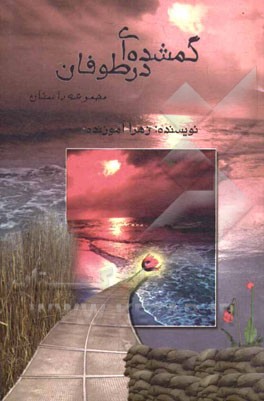 گمشده‌ای در طوفان