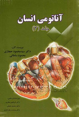 آناتومی انسان