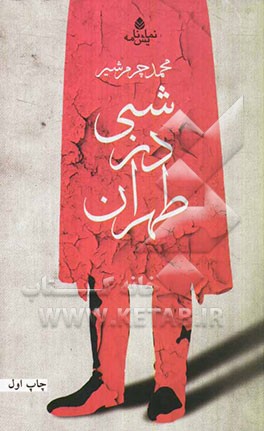 شبی در طهران