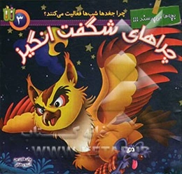 چرا جغدها شب‌ها به شکار می‌روند؟