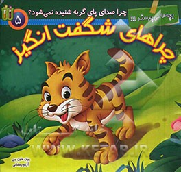 چرا صدای پای گربه شنیده نمی‌شود؟