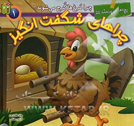 چرا مرغ‌ها کرچ می‌شوند؟