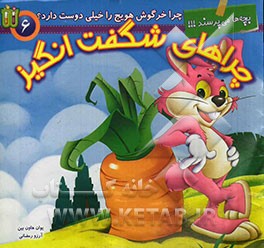 چرا کوالا همیشه بالای درخت زندگی می‌کند؟