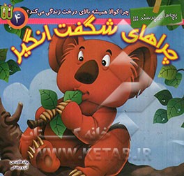 چرا کوالا همیشه بالای درخت زندگی می‌کند؟