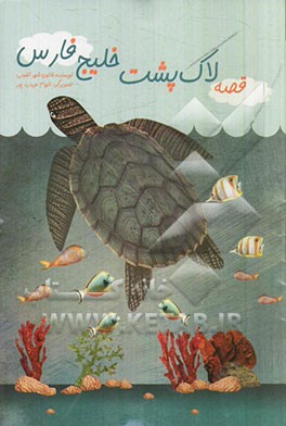 مدلسازی عددی در رودخانه‌ها