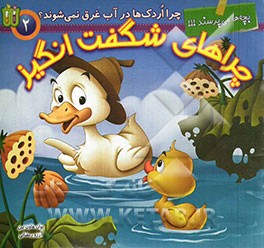 چرا اردک‌ها در آب غرق نمی‌شوند؟