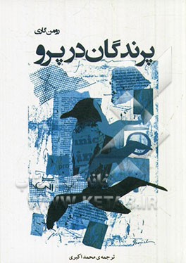 پرندگان در پرو