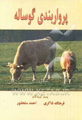 پرواربندی گوساله