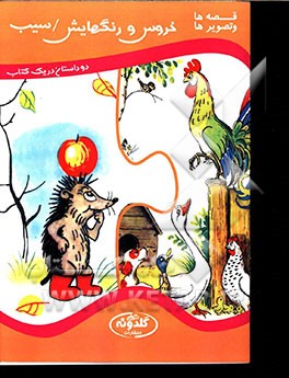 خروس و رنگ‌هایش، سیب