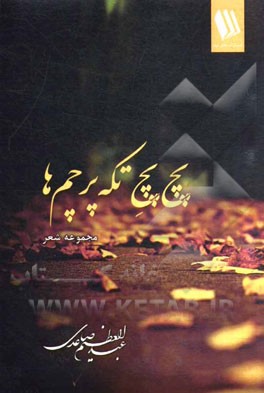 پچ پچ تکه پرچم‌ها: مجموعه شعر