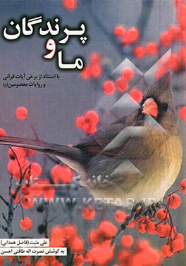 ما و پرندگان