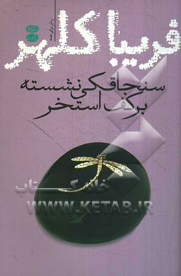 سنجاقکی نشسته بر کف استخر