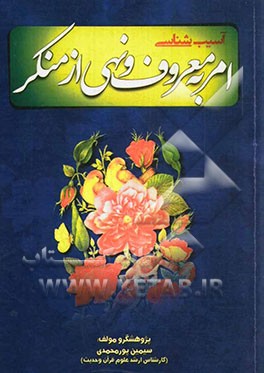 آسیب‌شناسی امر به معروف و نهی از منکر