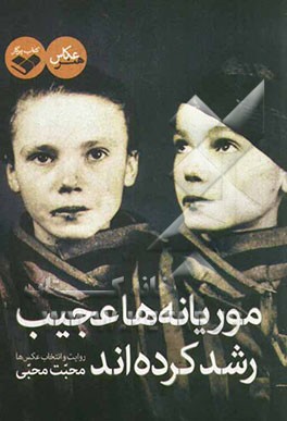 موریانه‌ها عجیب رشد کرده‌‌اند