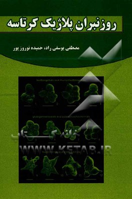 روزنبران پلاژیک کرتاسه