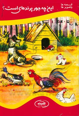 این چه جور پرنده‌ای است؟